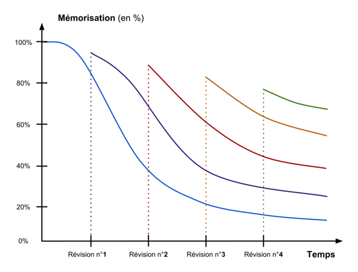 Diagramme montrant que chaque séance de révision permet de retenir plus lontemps des informations.